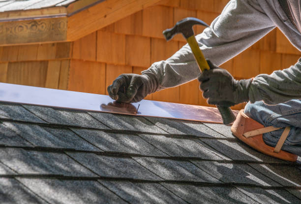 Best Sheet Metal Roofing  in Brices Creek, NC