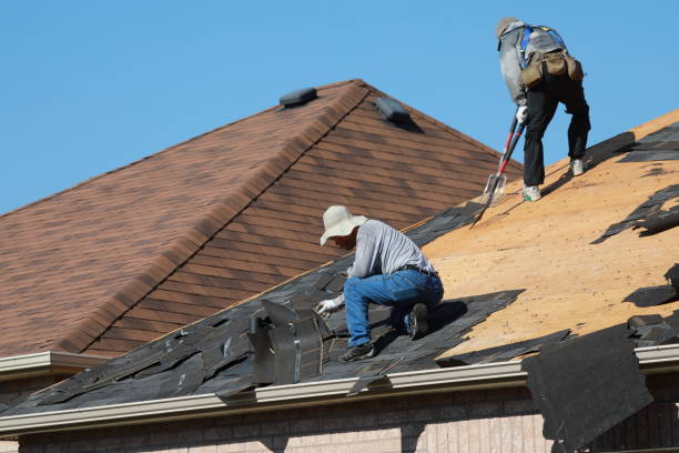 Best Roof Coating and Sealing  in Brices Creek, NC